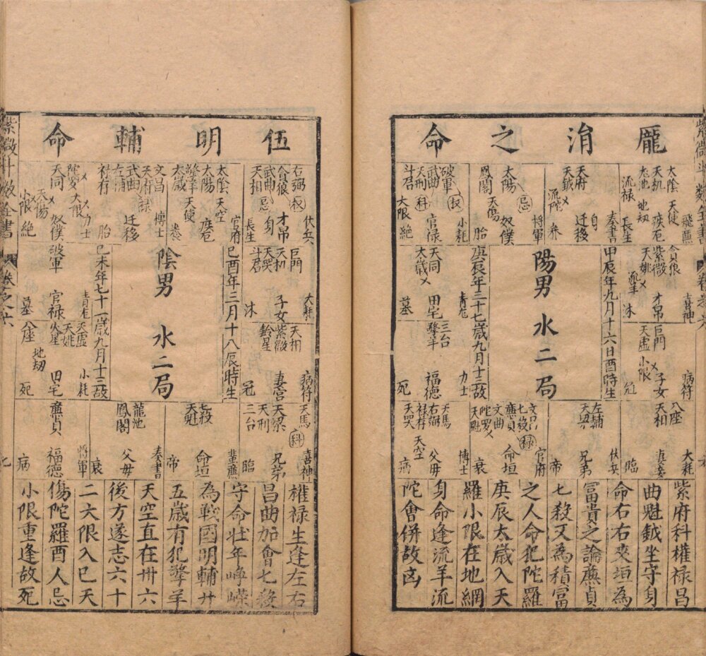 Page from the Ming-dynasty Zi Wei Dou Shu Quan Shu